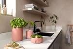 magic microgreens mou terra